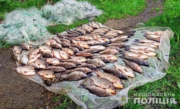 На Вінниччині розслідують 10 кримінальних проваджень щодо незаконного вилову риби