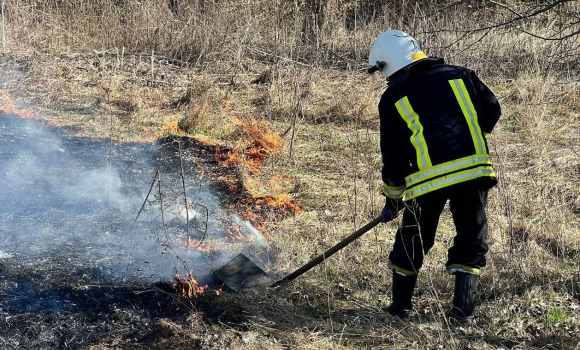 На Вінниччині за добу, 28 березня, сталося 13 пожеж в екосистемах