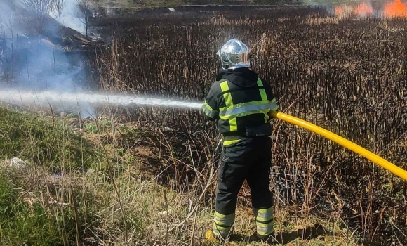 12 пожеж за день: вінницькі рятувальники працюють у посиленому режимі через людську недбалість 12 пожеж за день: вінницькі рятувальники працюють у посиленому режимі через людську недбалість
