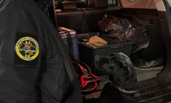 Бойові набої в коробці з-під елітного алкоголю вилучили вінницькі митники Бойові набої в коробці з-під елітного алкоголю вилучили вінницькі митники