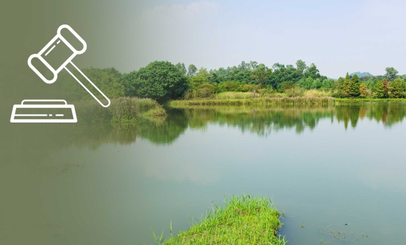 Дашівській громаді повернули водойму, за оренду якої не сплачувалися кошти Дашівській громаді повернули водойму, за оренду якої не сплачувалися кошти