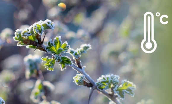 До -5 градусів у повітрі метеорологи застерігають мешканців Вінницької області До -5 градусів у повітрі метеорологи застерігають мешканців Вінницької області