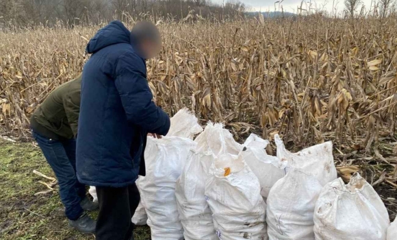 Директор будинку-інтернату на Вінниччині змушував підопічних працювати на приватних ділянках Директор будинку-інтернату на Вінниччині змушував підопічних працювати на приватних ділянках