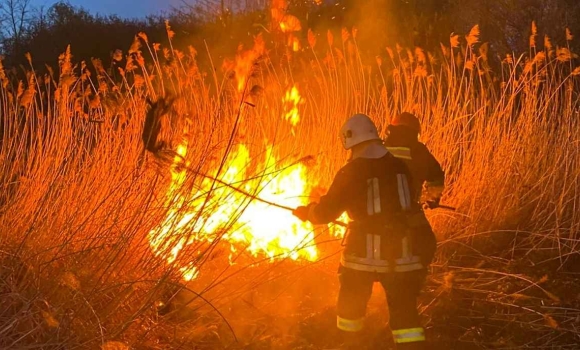 Гріли каченят і мало не спалили дім вогняна доба на Вінниччині — сім нічних виїздів Гріли каченят і мало не спалили дім вогняна доба на Вінниччині — сім нічних виїздів