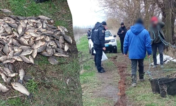 Масштабне браконьєрство на Вінниччині збитки перевищили 7 мільйонів гривень Масштабне браконьєрство на Вінниччині збитки перевищили 7 мільйонів гривень