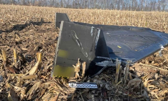 На кукурудзяному полі вінничанин знайшов збитий “шахед”, який не здетонував На кукурудзяному полі вінничанин знайшов збитий “шахед”, який не здетонував