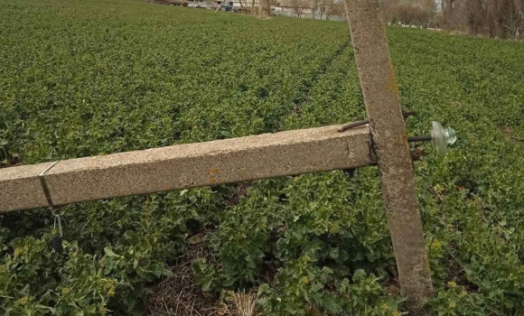 На Вінниччині відновлюють сотні електропідстанцій після нищівного шквалу На Вінниччині відновлюють сотні електропідстанцій після нищівного шквалу