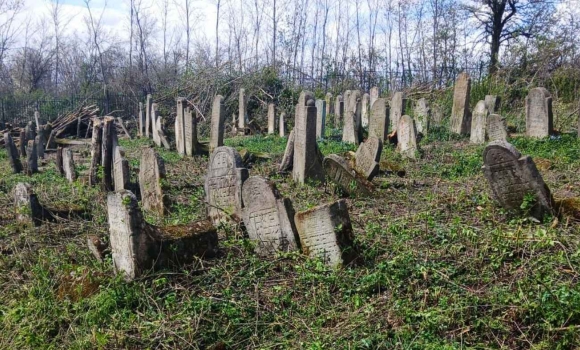 На Вінниччині за німецькі кошти рятують від зникнення унікальний єврейський некрополь На Вінниччині за німецькі кошти рятують від зникнення унікальний єврейський некрополь