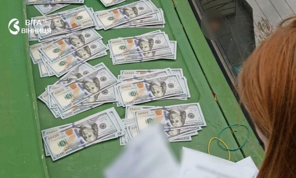 Одружилася з ухилянтом за гроші на Вінниччині винесли вирок організаторці схеми Одружилася з ухилянтом за гроші на Вінниччині винесли вирок організаторці схеми