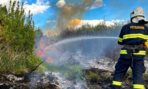 Палаючі паркани та тонни соломи на Вінниччині ліквідували вісім масштабних пожеж Палаючі паркани та тонни соломи на Вінниччині ліквідували вісім масштабних пожеж