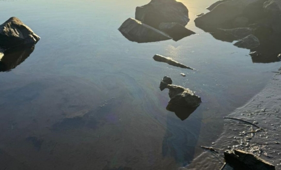 Походження маслянистих плям, які забруднили Дністер, з'ясовують вінницькі екологи Походження маслянистих плям, які забруднили Дністер, з'ясовують вінницькі екологи