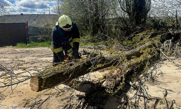 Рятувальники розчищали автошляхи від повалених дерев у двох районах Вінницької області Рятувальники розчищали автошляхи від повалених дерев у двох районах Вінницької області