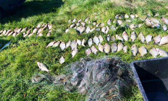 Сітки, 80 кг риби та загроза в'язниці на Південному Бузі викрили браконьєра Сітки, 80 кг риби та загроза в'язниці на Південному Бузі викрили браконьєра