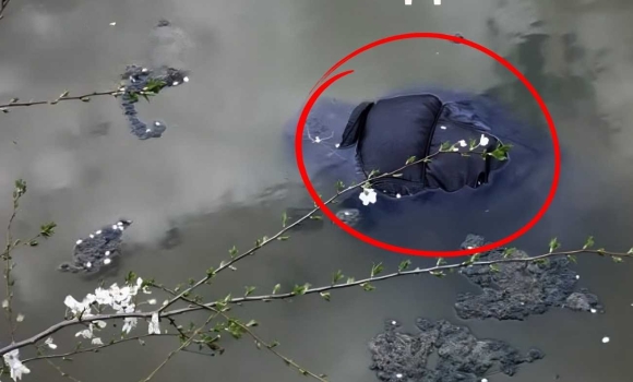 Смертельний випадок на воді у селі на Вінниччині загинув 60-річний місцевий мешканець Смертельний випадок на воді у селі на Вінниччині загинув 60-річний місцевий мешканець