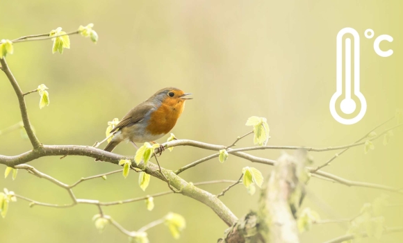 Тиждень для вінничан почнеться з 13 градусів тепла синоптики пояснили, що буде потім Тиждень для вінничан почнеться з 13 градусів тепла синоптики пояснили, що буде потім