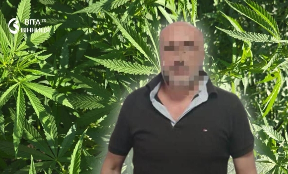 У Хмільницькому районі під домашній арешт відправили чоловіка, який у горщиках вирощував коноплі У Хмільницькому районі під домашній арешт відправили чоловіка, який у горщиках вирощував коноплі
