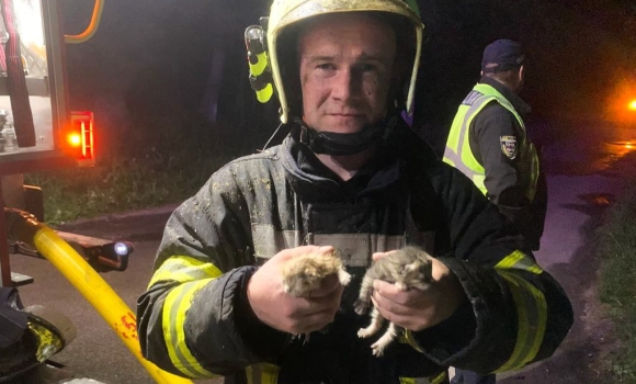 У Літинській громаді пожежники врятували з палаючої будівлі двох кошенят