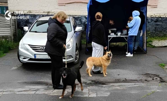 У Вінниці вакцинували від сказу вже понад 3400 тварин — і це ще не межа У Вінниці вакцинували від сказу вже понад 3400 тварин — і це ще не межа