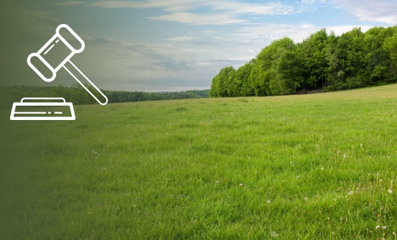 У власність Ямпільської громади повертають 44 гектари історико-культурних земель У власність Ямпільської громади повертають 44 гектари історико-культурних земель