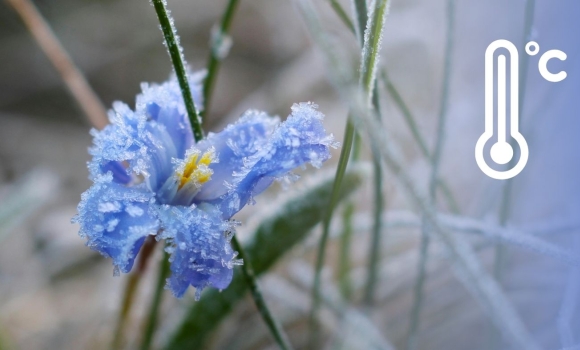 Від 0 до -5 квітень готує вінничанам «крижаний» погодний сюрприз у ніч на п'ятницю Від 0 до -5 квітень готує вінничанам «крижаний» погодний сюрприз у ніч на п'ятницю
