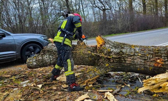 Вітер наробив лиха на Вінниччині де саме розчищали дороги від завалів Вітер наробив лиха на Вінниччині де саме розчищали дороги від завалів