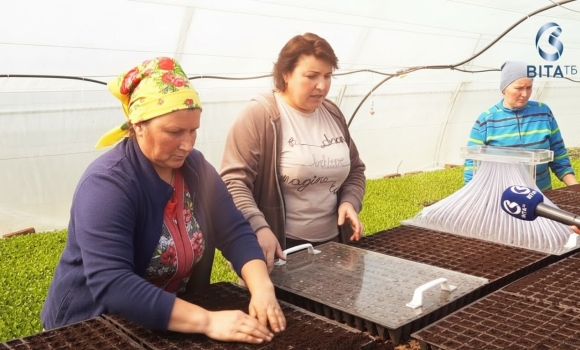 Як вінницькі фермери готуються до нового овочевого сезону Як вінницькі фермери готуються до нового овочевого сезону