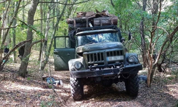 Збитків на 6,5 млн грн у природному парку на Вінниччині незаконно рубали дерева Збитків на 6,5 млн грн у природному парку на Вінниччині незаконно рубали дерева