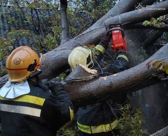 Рятувальники Вінниччини прибирали з доріг повалені вітром дерева